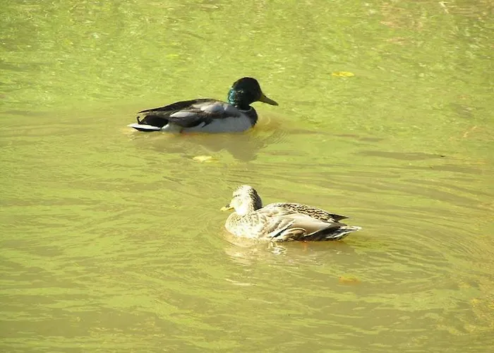 Blisko Centrum I Saskiej Kepy, Ac, Free Parking Apartment